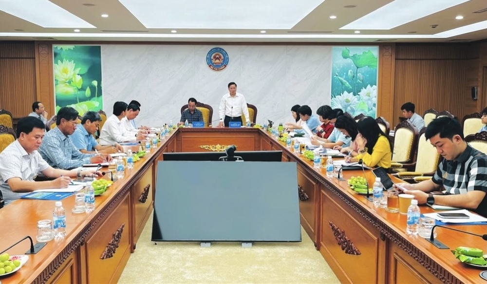 Tỉnh Cà Mau khẩn trương hoàn thiện hồ sơ các dự án, nhất là các dự án ODA