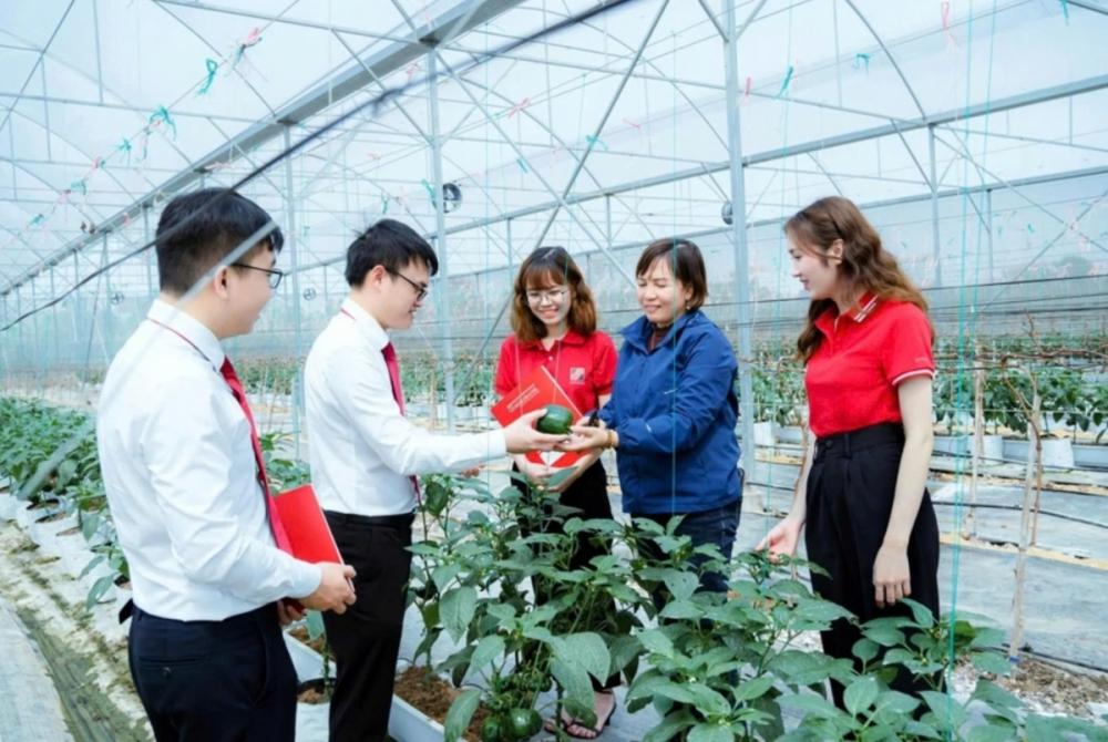 Các ngân hàng đang tăng tốc xanh hóa hoạt động trong bối cảnh Ngân hàng Nhà nước siết chuẩn ESG và thúc đẩy dòng vốn phục vụ mục tiêu phát triển bền vững quốc gia.