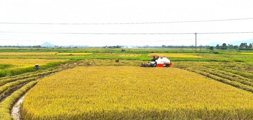 Đổi mới tư duy kiến tạo nông nghiệp theo tinh thần Nghị quyết số 57-NQ/TW Đổi mới tư duy kiến tạo nông nghiệp theo tinh thần Nghị quyết số 57-NQ/TW