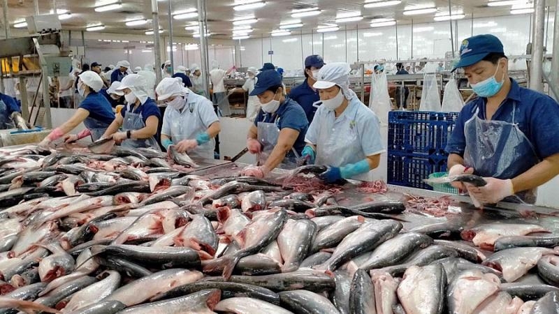 Thủy sản gỡ vướng hướng tới mục tiêu xuất khẩu năm 2026 Thủy sản gỡ vướng hướng tới mục tiêu xuất khẩu năm 2026