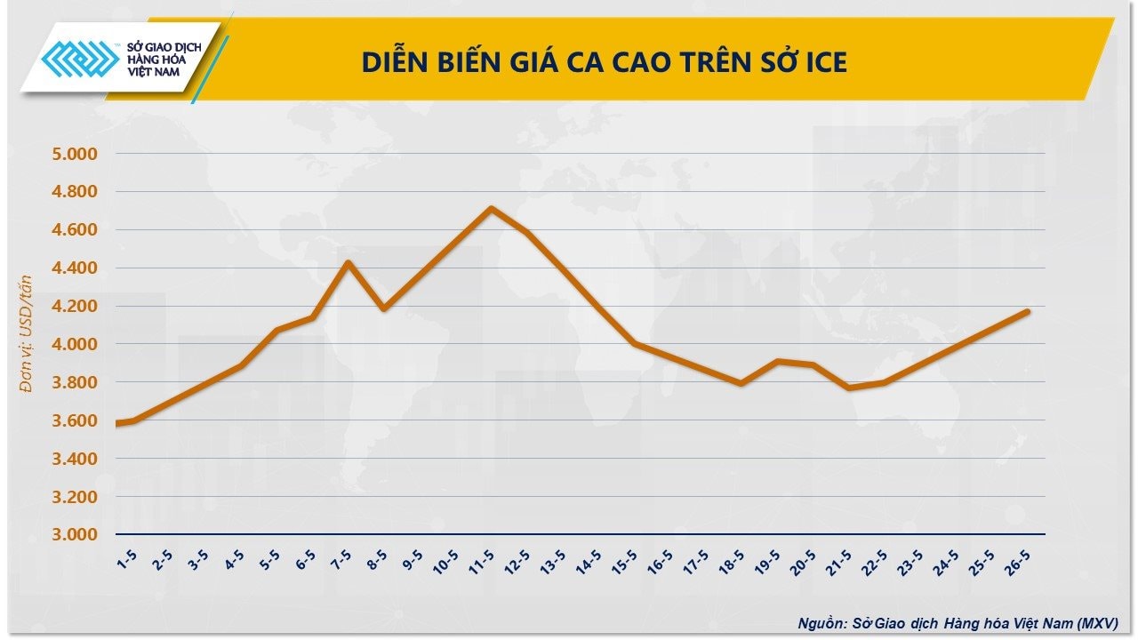 anh-3_-dien-bien-gia-ca-cao-tren-so-ice.jpg