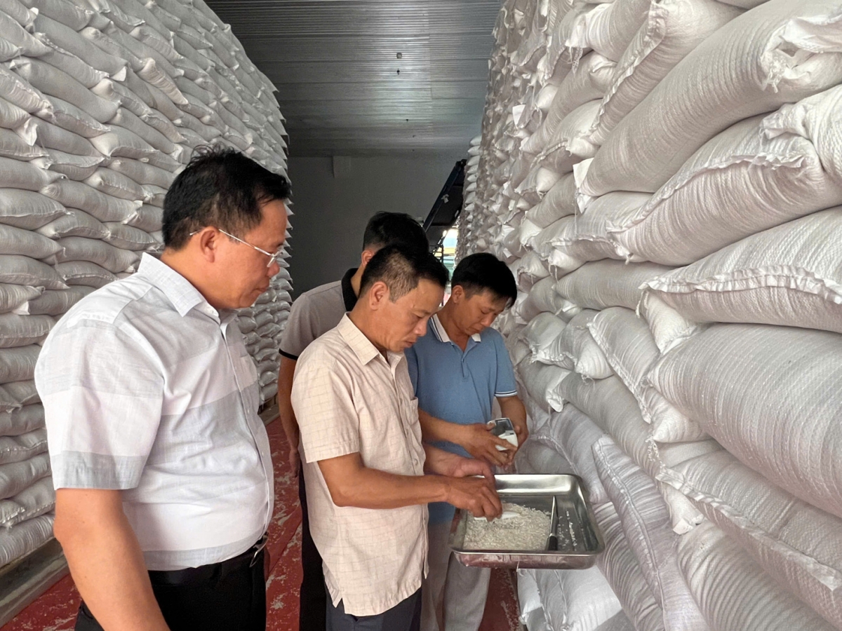 Cục Dự trữ Nhà nước hoàn thành tái cấu trúc bộ máy đảm bảo tinh gọn, thông suốt