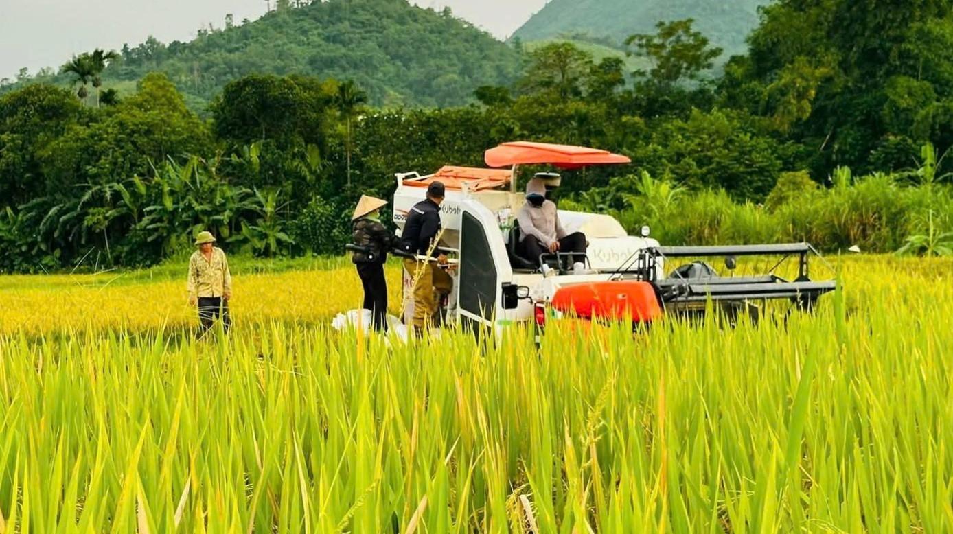 Xuất khẩu nông, lâm, thủy sản tăng mạnh, vượt 30 tỷ USD