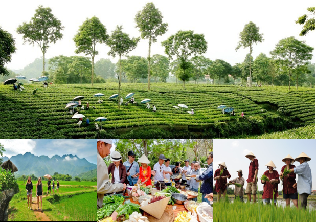 Du lịch nông thôn đẩy mạnh số hóa, tạo động lực phát triển kinh tế nông thôn Du lịch nông thôn đẩy mạnh số hóa, tạo động lực phát triển kinh tế nông thôn