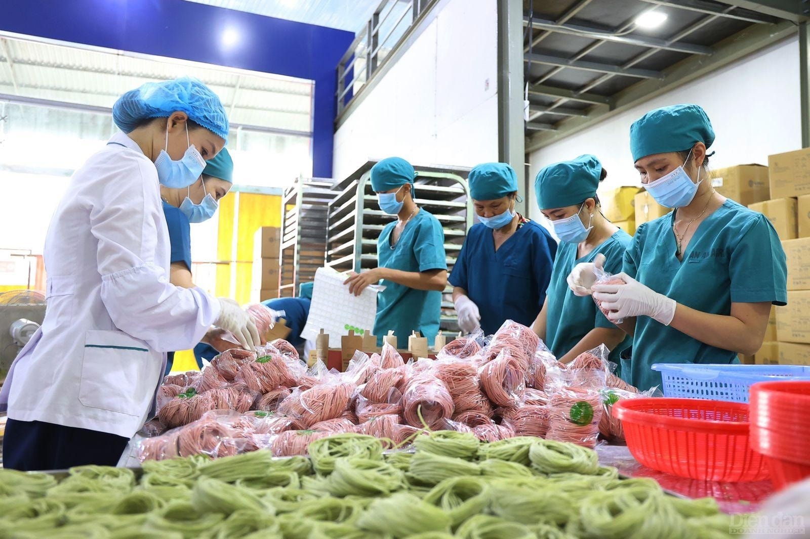 Nghệ An bứt phá xuất khẩu, định hình trung tâm sản xuất mới Bắc Trung Bộ