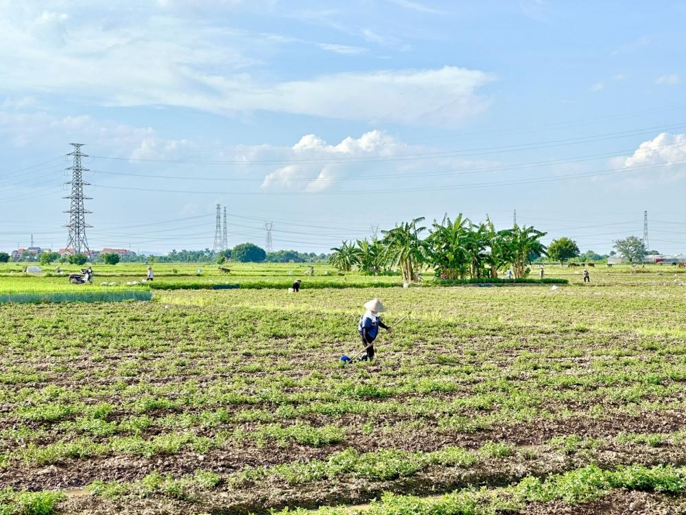 Thị trường tín chỉ carbon đang mở ra dư địa tăng trưởng mới Thị trường tín chỉ carbon đang mở ra dư địa tăng trưởng mới
