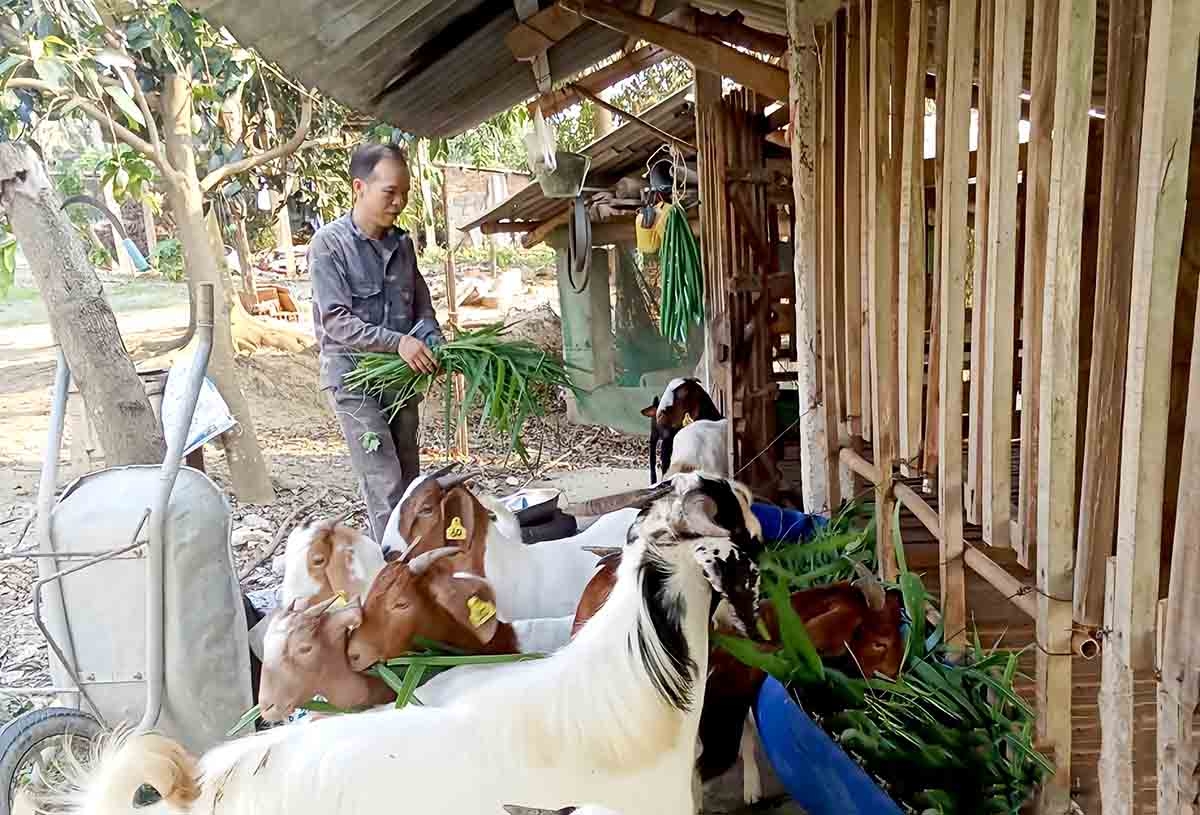 Tạo sinh kế bền vững, mở đường thoát nghèo cho đồng bào vùng cao Tuyên Quang Tạo sinh kế bền vững, mở đường thoát nghèo cho đồng bào vùng cao Tuyên Quang