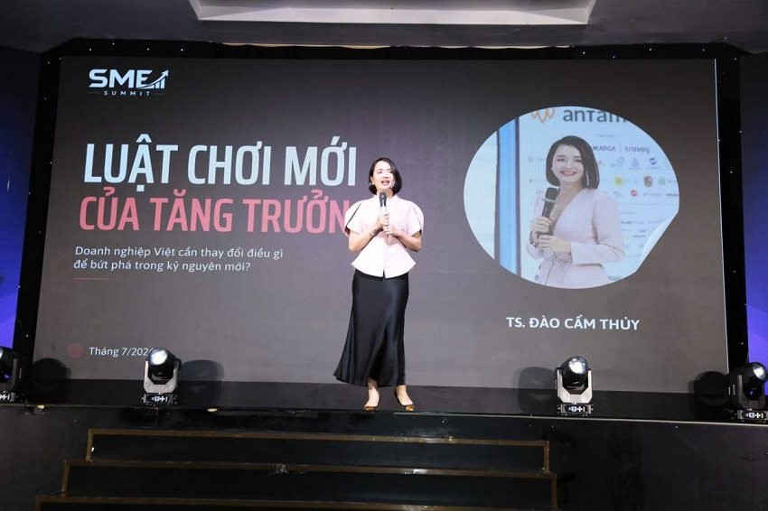 ts.-dao-cam-thuy-giang-vien-truong-dai-hoc-kinh-te-dai-hoc-qghn-chuyen-gia-tu-van-thuong-hieu-va-marketing.jpg