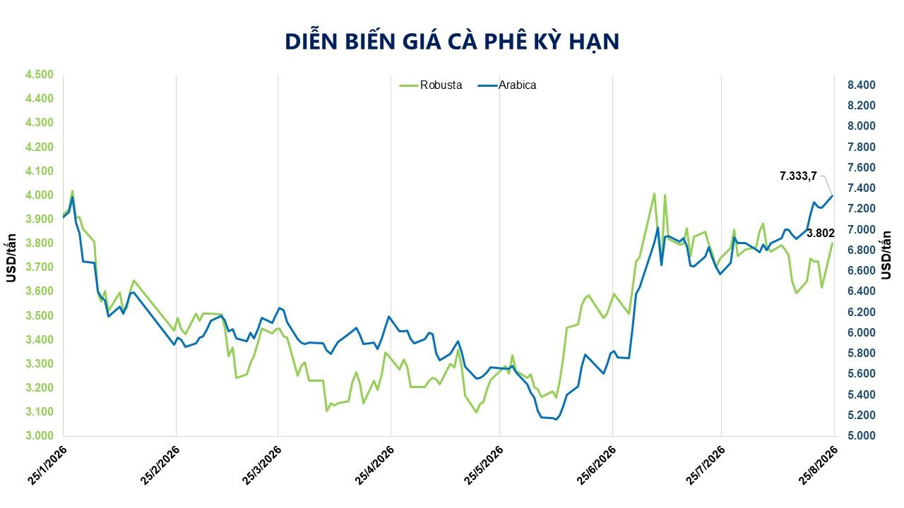 anh-4_-dien-bien-gia-ca-phe.jpg