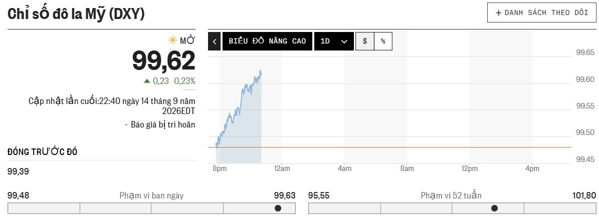 dxy-15.9.jpg