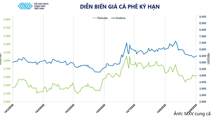 Diễn biến giá cà phê kỳ hạn