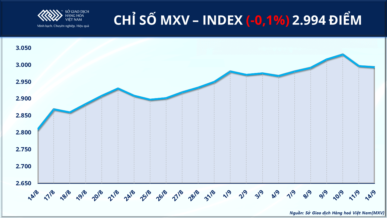 anh-1_-chi-so-mxv-index-2.png