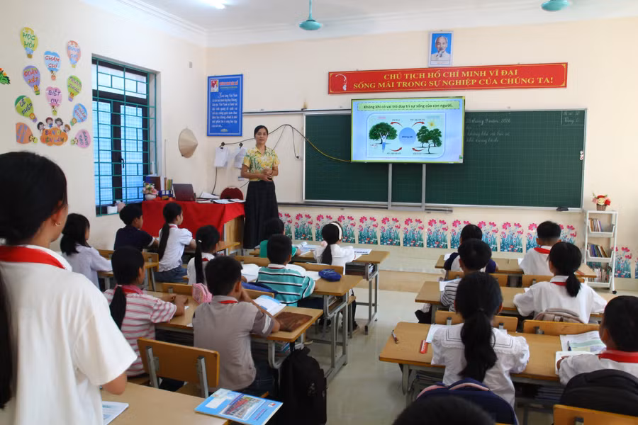 moi-truong-xanh-3.jpg