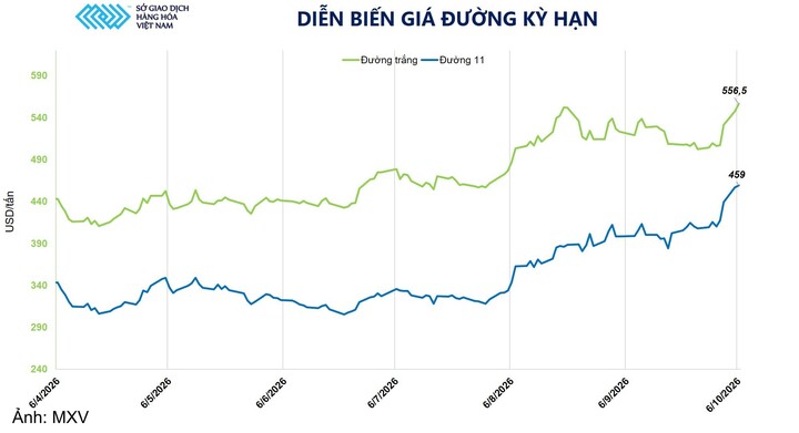 Diễn biến giá đường kỳ hạn