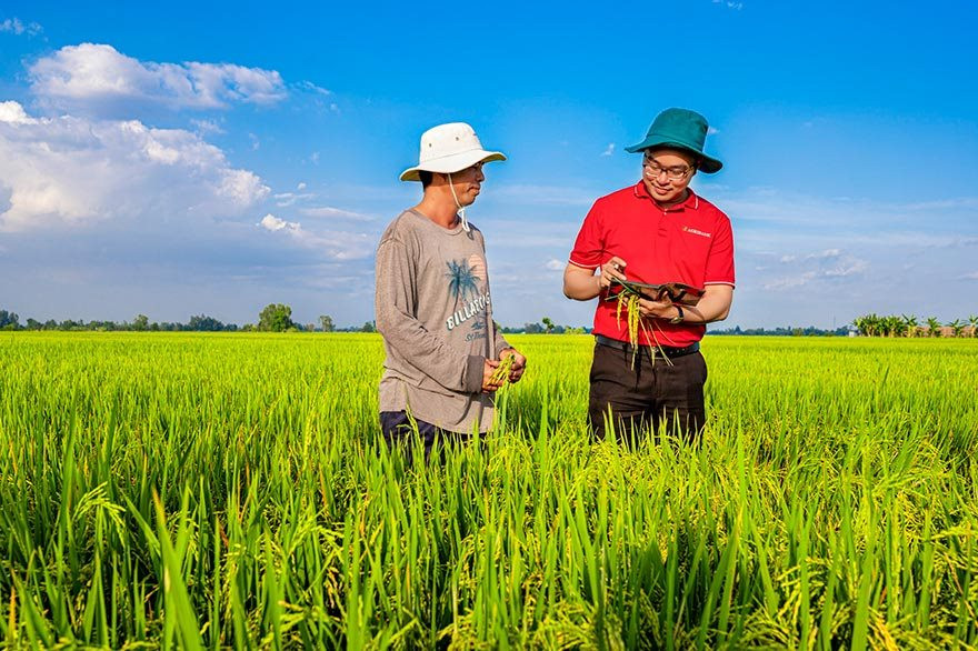 Đến cuối tháng 3/2026, tổng dư nợ tín dụng xanh của Agribank đạt gần 30.000 tỷ đồng. Năm 2026, Agribank tiếp tục triển khai chương trình tín dụng xanh 3.000 tỷ đồng cho khách hàng cá nhân và chương trình tài trợ nông nghiệp sạch, công nghệ cao 50.000 tỷ đồng.